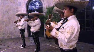 EL GARABATO POLKA MARIACHI MOYA [upl. by Etnomaj]