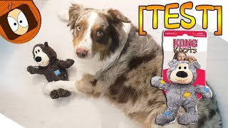 TEST JOUET POUR CHIEN DE QUALITÉ avec JAVA 🐻 [upl. by Eustacia]