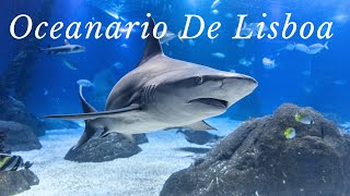 Lisbon Sea Aquarium Portugal Full Tour  Konkani vlog Portugal [upl. by Ardelle]