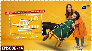 Tere Mere Sapnay Mega Episode 14  Eng Sub  Shahzad Sheikh  Sabeena Farooq  24th March 2024 [upl. by Dukey]