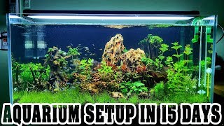 Aquarium Setup in 15 Days  Aquascape  Live Planted Fish Tank [upl. by Einnos]