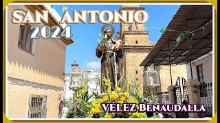 4K  Procesión de S ANTONIO  Vélez Benaudalla 2024 [upl. by Rahs587]