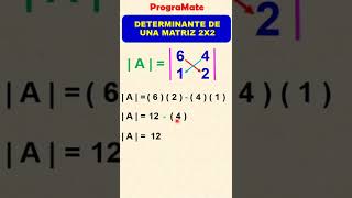 DETERMINANTE DE UNA MATRIZ 2X2 Shorts 👍 [upl. by Nylrak]