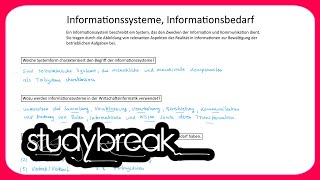 Informationssysteme Informationsbedarf  Wirtschaftsinformatik [upl. by Bez]