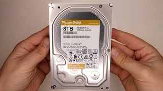 Western Digital WD Gold Enterprise 8TB WD8004FRYZ  UnboxingBenchmark Magician CrystalDiskMark7 [upl. by Toy]