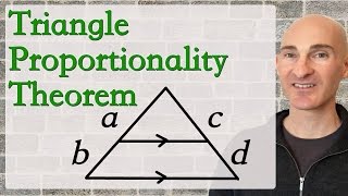 Triangle Proportionality Theorem [upl. by Guenzi]