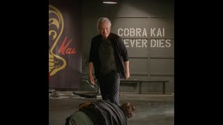 Terry Silver Beats Up Stingray  Cobra Kai S4E8 [upl. by Vig]