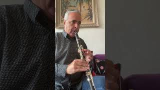 Shorora Salat Komitas Clarinet B♭ Selmer lygeros music clarinet shorts learn instrument [upl. by Lionello86]