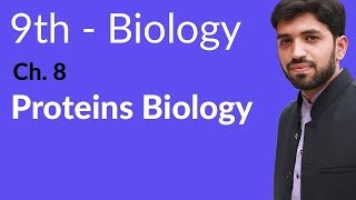 Matric part 1 Proteins Biology  Ch 8 Nutrition  9th Class Biology [upl. by Vedis]