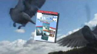 Pigeon Racing Secrets of Champions 1234 Collection [upl. by Aivirt]