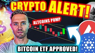 BITCOIN ETF Approval Sparks MASSIVE Altcoin Rally [upl. by Olshausen]