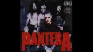 Pantera  Slaughtered Show Live  Osaka 050194 Disc 12 [upl. by Anoiuq]