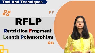 RFLP I Restriction Fragment Length Polymorphism I Tool amp Technique I [upl. by Alenairam]