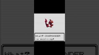 Charmander to Charizard Evolution in Pokemon Crystal [upl. by Lindsley]