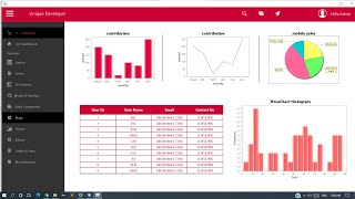 JAVA  How to design a simple dashboard UI using Swing and Java with graphs Netbeans 2021 [upl. by Ahusoj332]