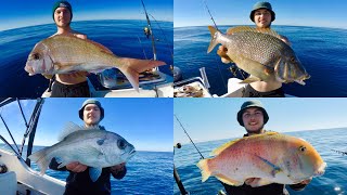 Mooloolaba Fishing Offshore 60 Metres Pearl Snapper Tusk Emperor Trout [upl. by Anikram]