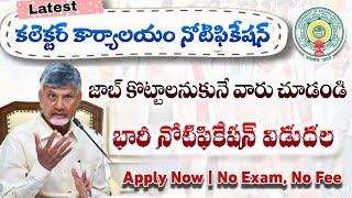 ap district collector office jobs 2024 ap contract jobs 2024 ap latest jobs 2024ap govt jobs 2024 [upl. by Oderfodog]