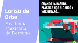 México ante la enmienda de plásticos del Convenio de Basilea [upl. by Einnob]