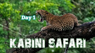 Kabini Deep Forest Safari Day 1  Nagarhole Tiger Reserve  Jolly Trip [upl. by Nhguavad357]