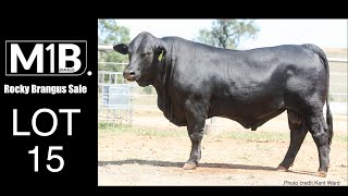 Lot 150 M1B Tanner T805 PP [upl. by Torres]