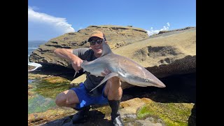 Land Based Shark Fishing Bouddi National Park [upl. by Russo]