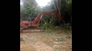 Alat berat Excavator  beraksi dalam rimba [upl. by Ihcas]