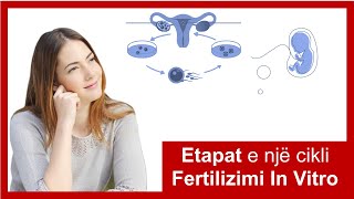 Etapat e një cikli Fertilizimi In Vitro [upl. by Atniuq]