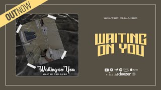 Walter Chilambo  Waiting On You Visualizer [upl. by Kirsten]