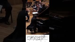 Moszkowski Piano Concerto No 2 [upl. by Onaicilef]