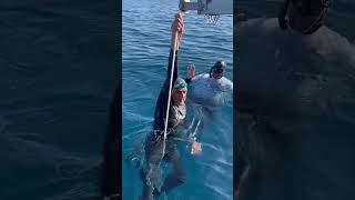 🇫🇷 Christian Vogler  80m FIM  White Card 🏳️ Freediving Ocean Cup  Luigino Ceppi Memorial 2024 [upl. by Carmita]