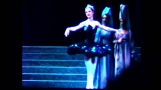 AGNES LETESTU amp JOSE MARTINEZ BLACK SWAN pas de deux 1994 [upl. by Rol829]