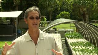 Aquaponics in Kauai Hawaii  Renewable Food Production [upl. by Asiak]