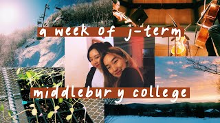 a week of jterm  middlebury college 2020 [upl. by Annoerb]