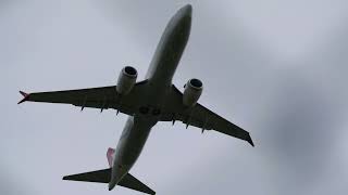 4K Takeoff A320 B737MAX and Embraer E190 Landing at Nuremberg airport EDDN  planespotting [upl. by Nwahsit]