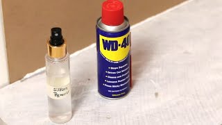 WD 40 vs Silicone Remover Which Works Better [upl. by Adnohsal]