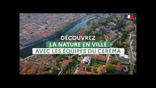 Découvrez la Nature en Ville avec les équipes du Cerema [upl. by Ened]