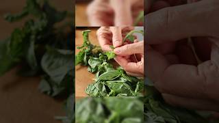 Prep Fresh Basil in 2 Easy Steps  Homemade healthy pesto sauce in 5 minutes sauce healthy [upl. by Kristopher387]