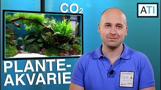 Planteakvarie med CO2 [upl. by Nnylsoj]