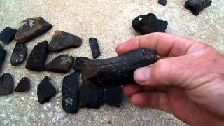 Metal detectingFossils and petrified wood day finds [upl. by Shorter]