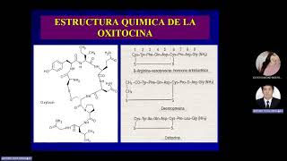 Farmacología Obstetricia 2024 II Farmacología uterina [upl. by Yentyrb]