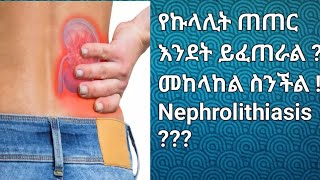 What is Nephrolithiasis  የኩላሊት ጠጠር ምንድን ነው  መከላከል ስንችል [upl. by Monjan]