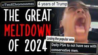 Reddit Has An Absolute Meltdown Over Trump Victory [upl. by Landon]