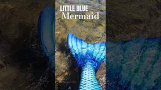 LITTLE BLUE MERMAID SWIMS UP TO SHORE [upl. by Marciano204]