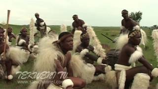 Celebrating Zulu Heritage Through Tribal Dance [upl. by Kuhn768]