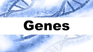 Genes Definition and Examples with Illustration [upl. by Ultima877]