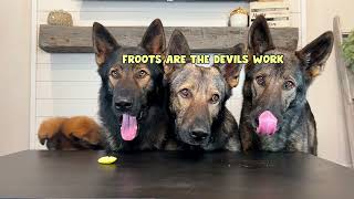 Four German Shepherds Review Foods [upl. by Orodisi]