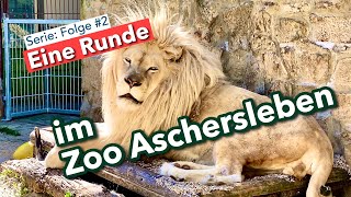 Eine Runde im Zoo Aschersleben [upl. by Mable517]