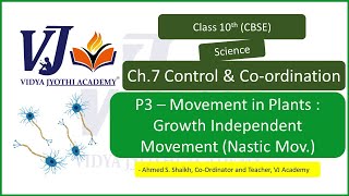 P3 – Movement in Plants  Growth Independent Movement  Class 10th Ch7 [upl. by Pippas541]