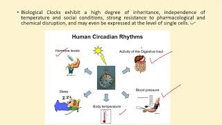 Rhythmic Behavior Pattern  Circadian Rhythm SleepWake Cycle [upl. by Najar]