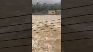 Hochwasser in Sur City Oman 15102024 schorts [upl. by Frum]